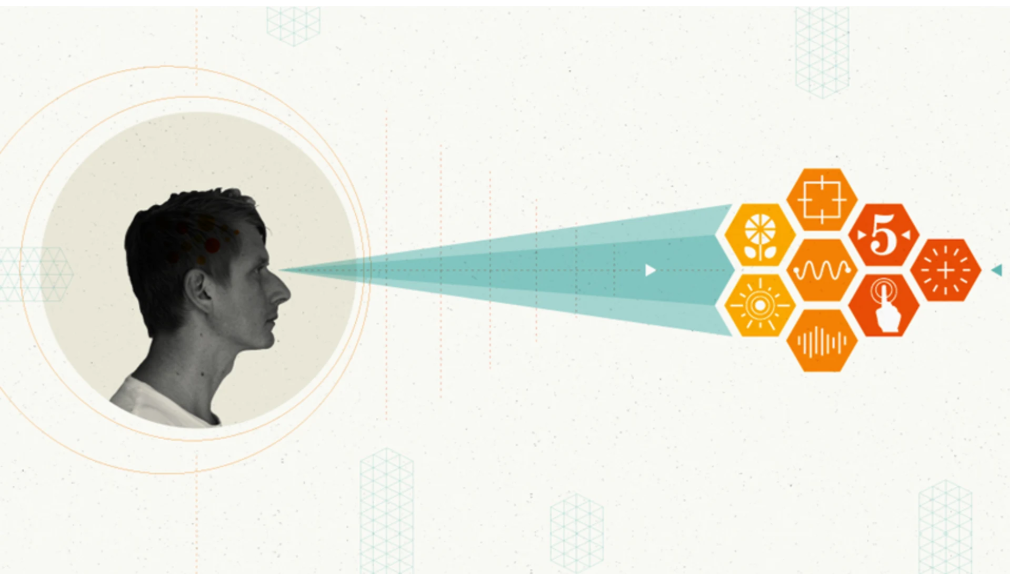 Imagining 20 Years Ahead: The Future of Information Technology